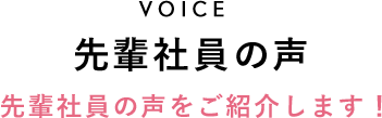 先輩社員の声